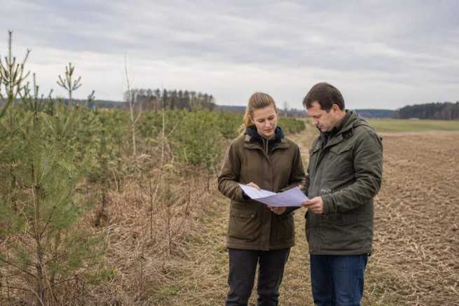 Zalesienie gruntu z dopłatą a sprzedaż działki – obowiązki nabywcy i zbywcy